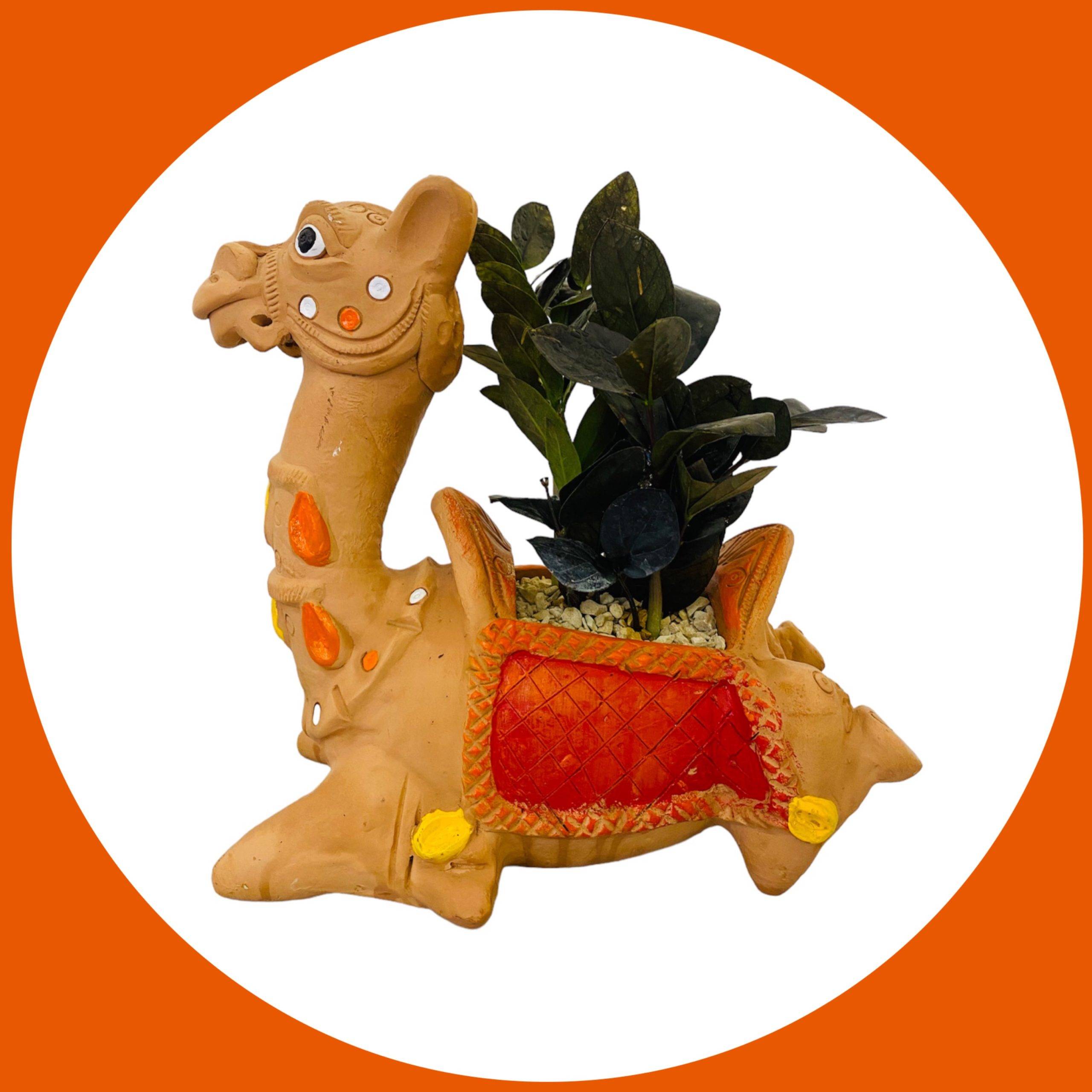 terracotta-camel-pot-with-zz-zamia-plant-best-selling