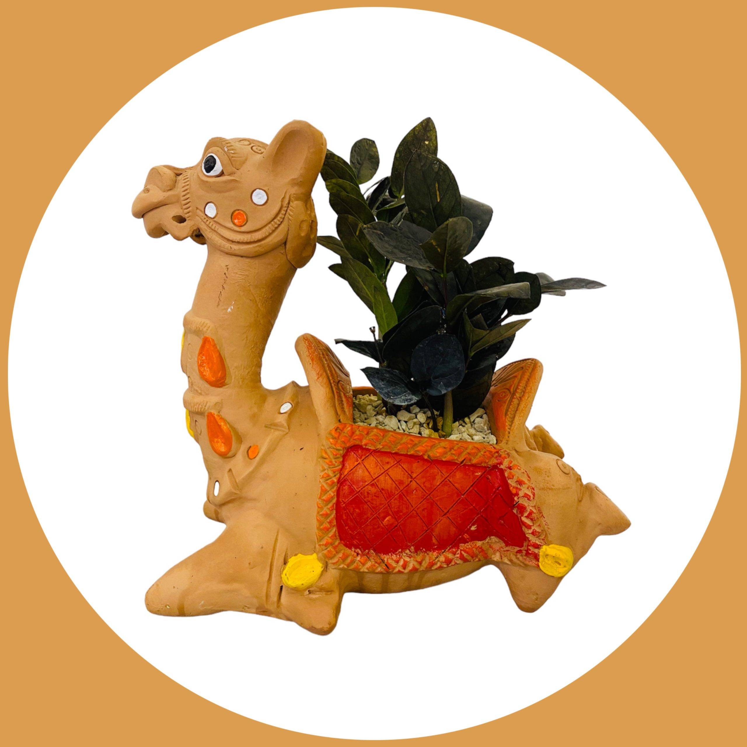 Terracotta Camel Pot With ZZ Zamia Plant Best Selling